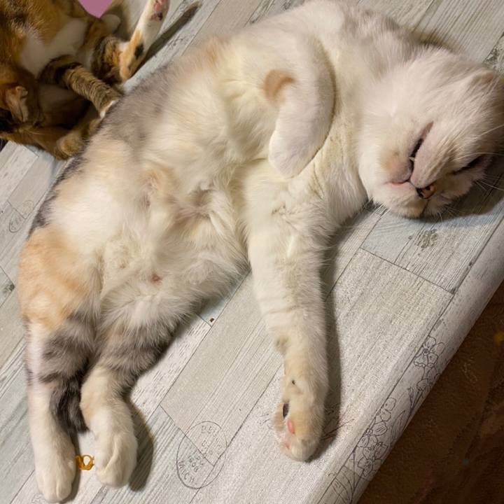 76758e46 9c1c 49e1 a359 1b470daebbef 1604843332937