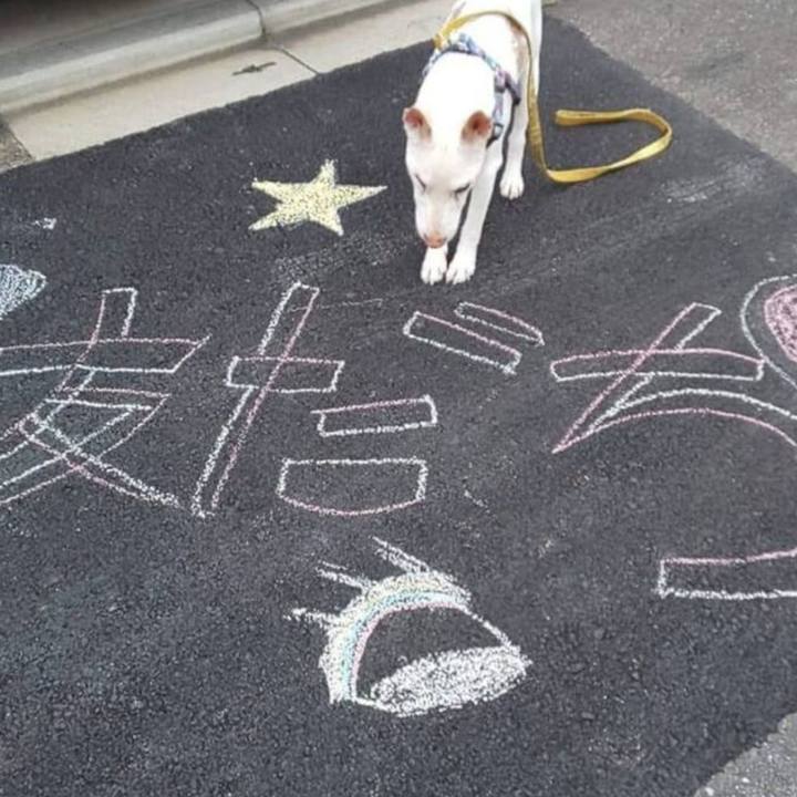 76759564 8551 4314 9a81 d85555273375 1784601457734