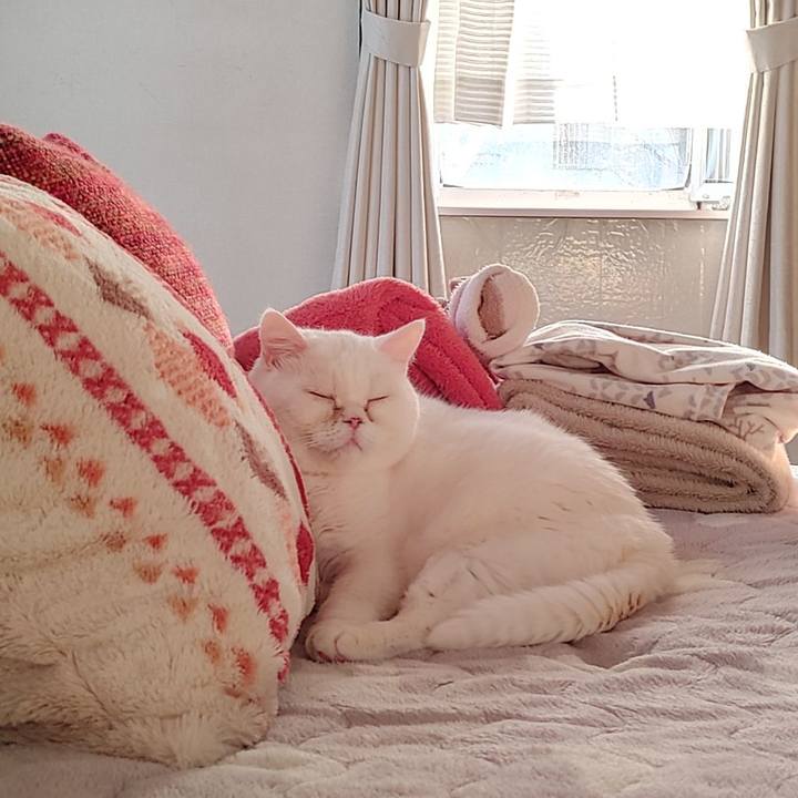 76759840 3e69 4dfa 8eb5 82512d4ef92d 1674371332825