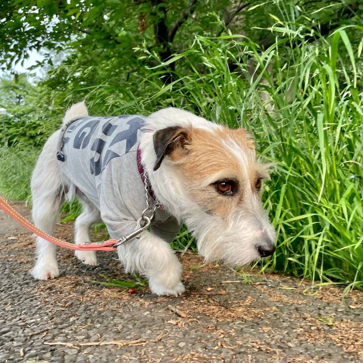 76759a9f 69db 4c17 aa1d 7ea3c673a306 1653036543830