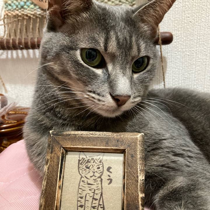 7675bf92 0048 4a62 a332 7d7fb6bf16c3 1725710204365