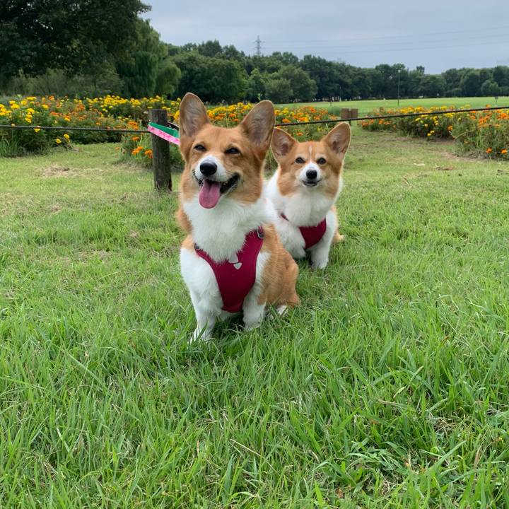 7675c3c7 e5b5 480f b010 9e2b9728fcac 1663233365587