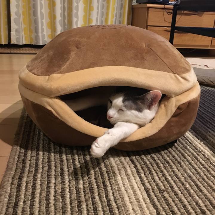 7675e728 81e7 4ccf 9fdc e5e98c35eae1 1509798036695