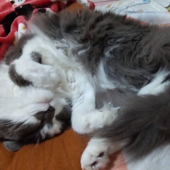 7676a48a 634f 4523 892d 0918a8232370 1653110721383