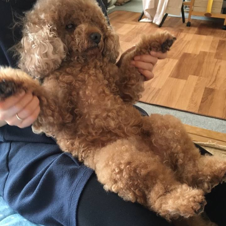 7676c0d6 94af 42ce b9fc 47e44ac62a17 1554218890776