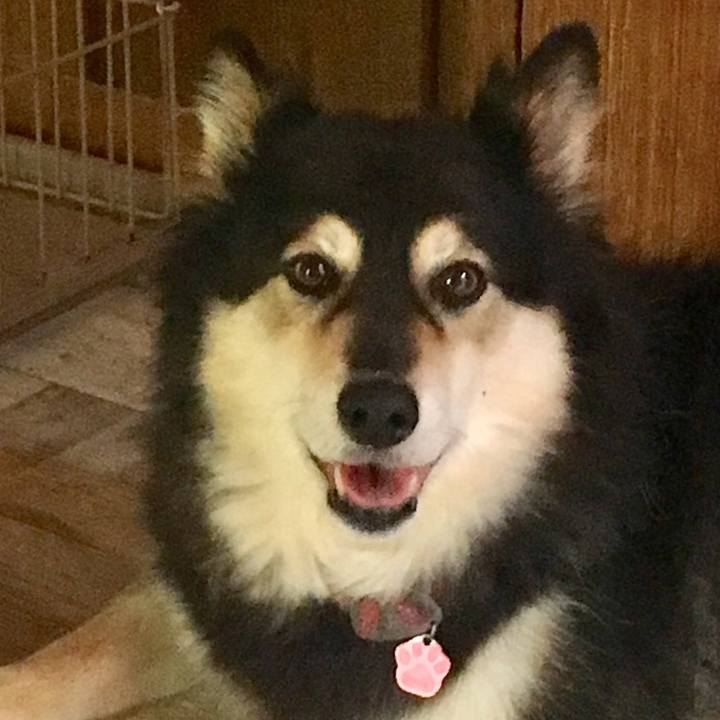 7676d9db aa74 4999 8e26 03bcd6aeed85 1558750853598