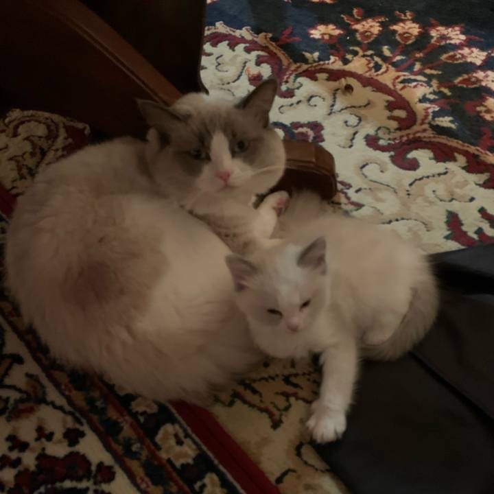 7676eff5 1737 4e10 b09d df9dc763e236 1642843316680