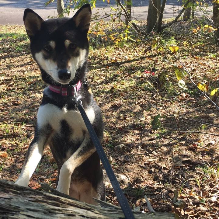 7676fe28 126d 4d92 99ac eeb9353bd85e 1573394938708