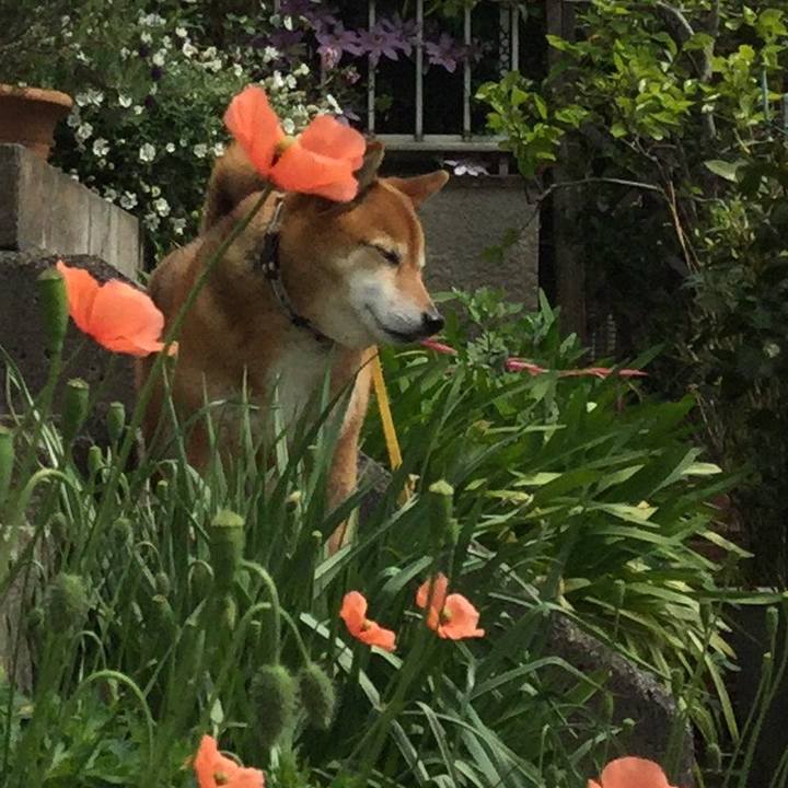 76771726 b7e0 48a9 b78e c2e9bec48a9e 1555820053081