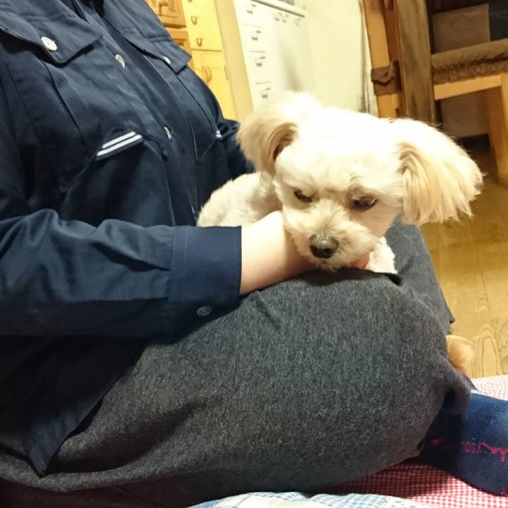 767732a6 fb4a 4611 8050 d0b0a9a3a1ab 1602592886542