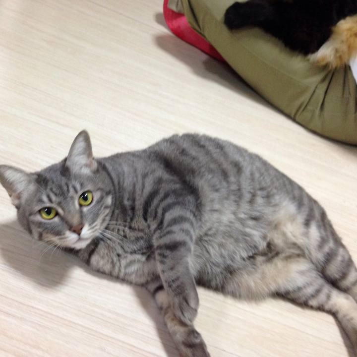 76773d05 ef1e 48fb 9a57 3e1e8433dfe3 1524611287178