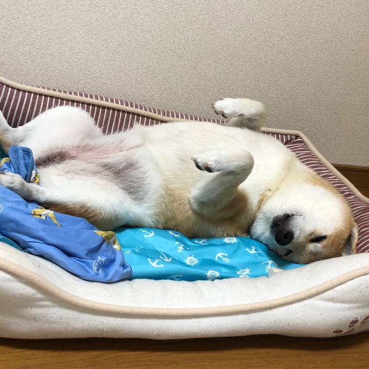 76777d4e b4b1 461e 9241 c7cbbb2e2f61 1567332740820