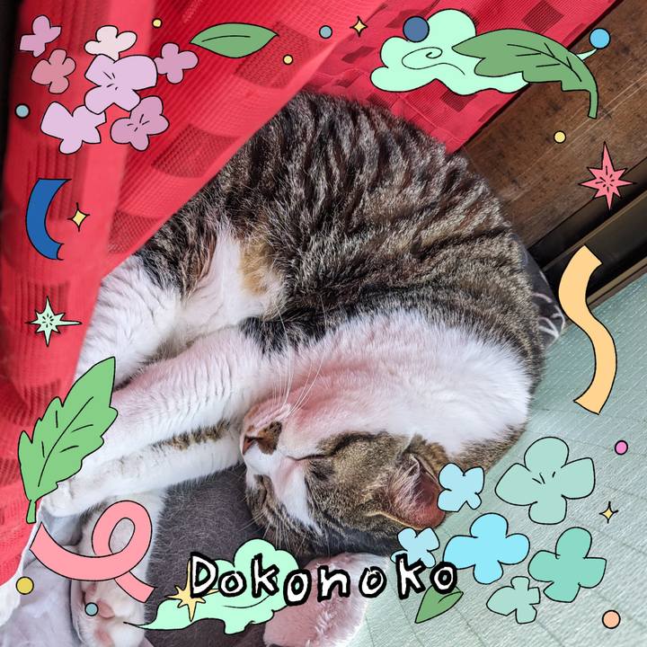 76778d33 b576 4496 bb2a 7decbe6836d1 1717653241235