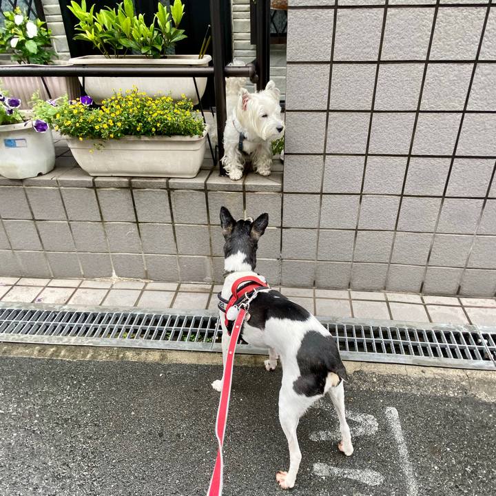 7677a812 894b 473b ad3c 336fe7609b7f 1593333208089