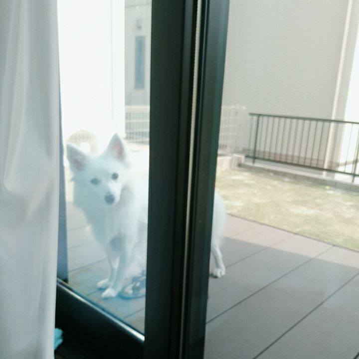 7677bde7 6460 4e6d 97fa 6499679590bf 1522650092552