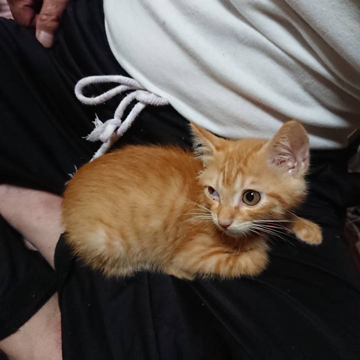 7677c468 9ed7 4d0e a70b bacd8ab2fbb1 1628844808095