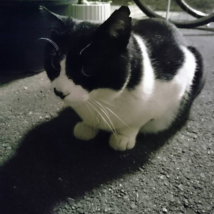 7677e1cb 56b1 4fc4 8860 4e8db7345732 1523488613542