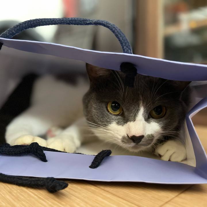 76780e08 5039 4039 9dfe c4c22e2171b3 1662870013099