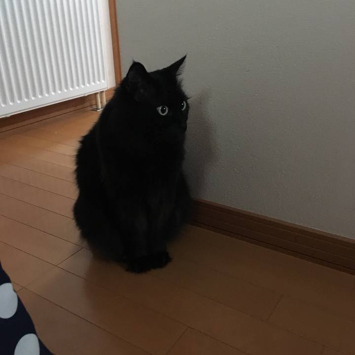 76782844 c7ea 4404 a47c dca63e7d34ad 1522980025430