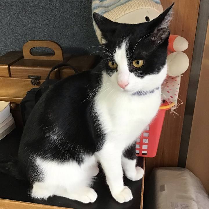 76782abd 68e1 4c21 9503 d2ae6f227858 1642920835419