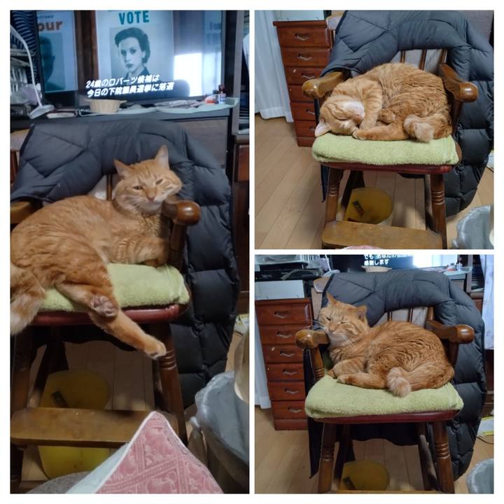 76784852 dca1 486a bf22 a10244355772 1699689959332