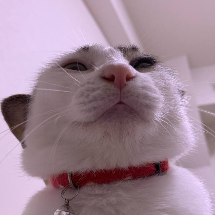 76784962 0e9b 4aac 8878 2d62c56dde97 1596748004885