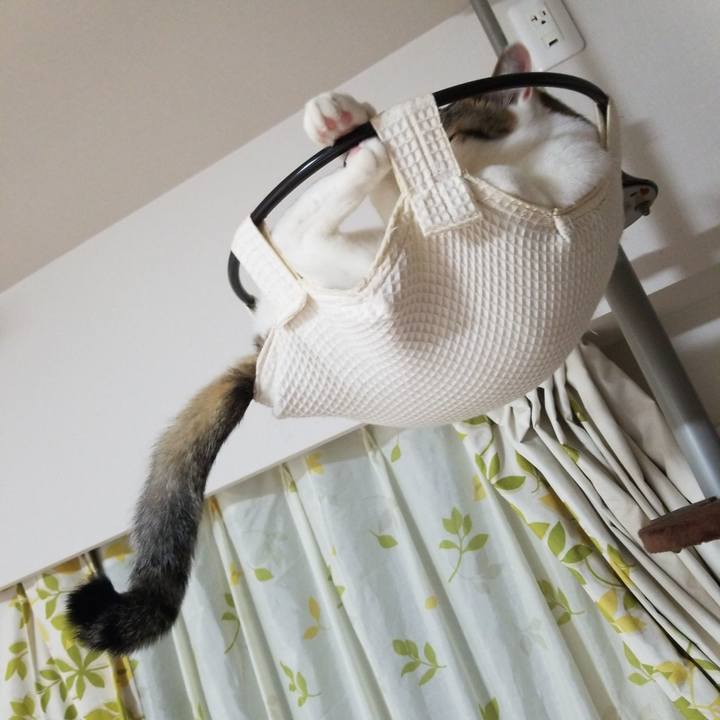 76788f56 c42f 4ec3 8c02 32c87e025412 1591707966553