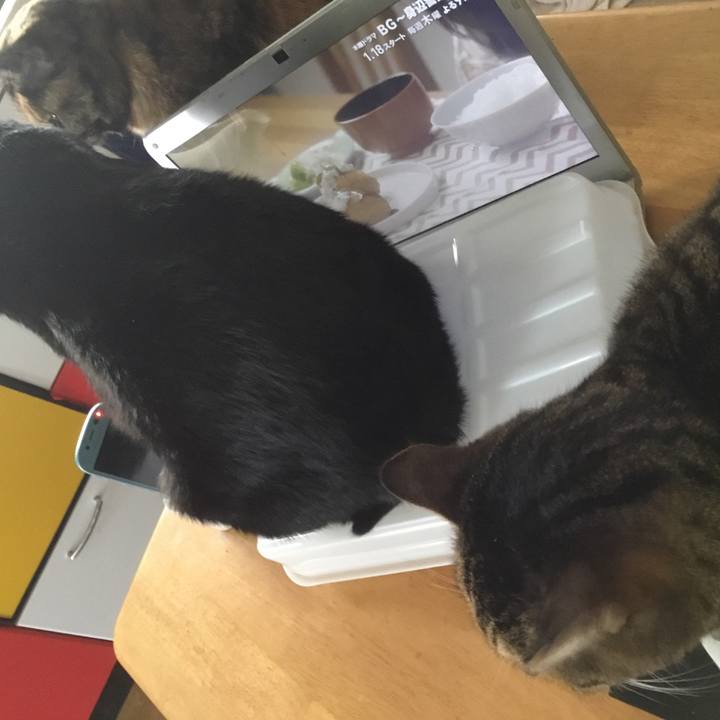 767903be ce9d 4cb0 87a8 1bedf0f87aae 1515719789149