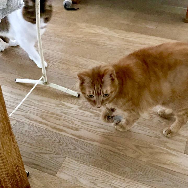 767932ce 9300 4e95 b47c cde86b15f3c4 1562904608637