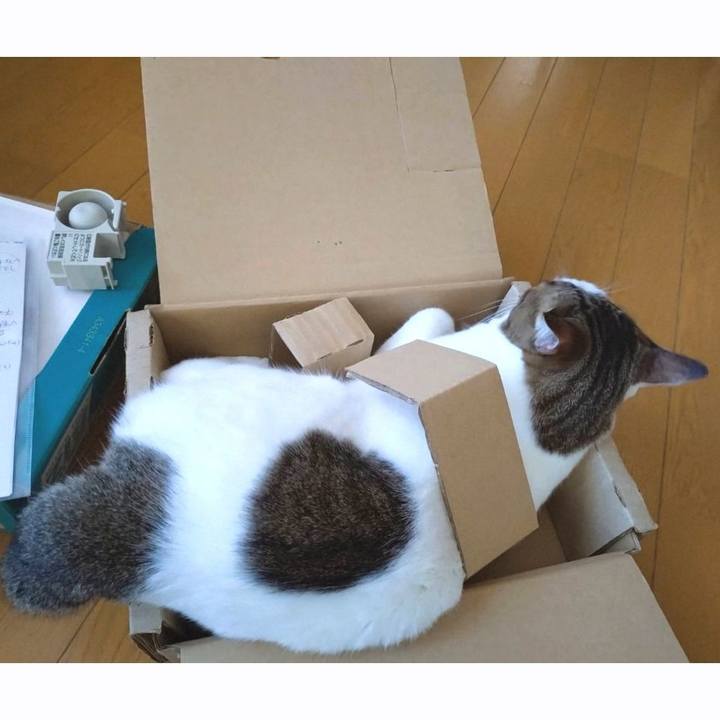 76793b7f 9ef7 435a 8604 87d4e8de8fd2 1758933444578