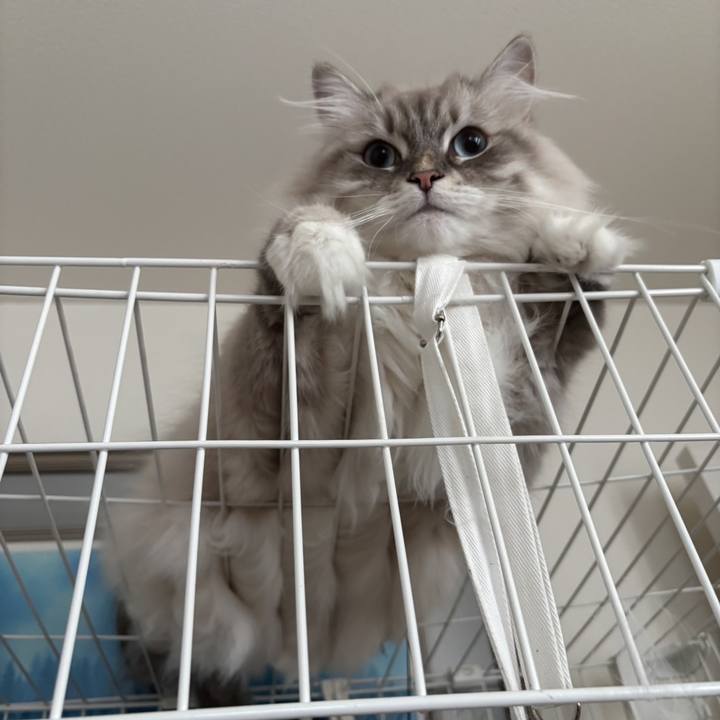 76793c00 3ca8 4ffd bc81 1897557f7fa9 1759982662510