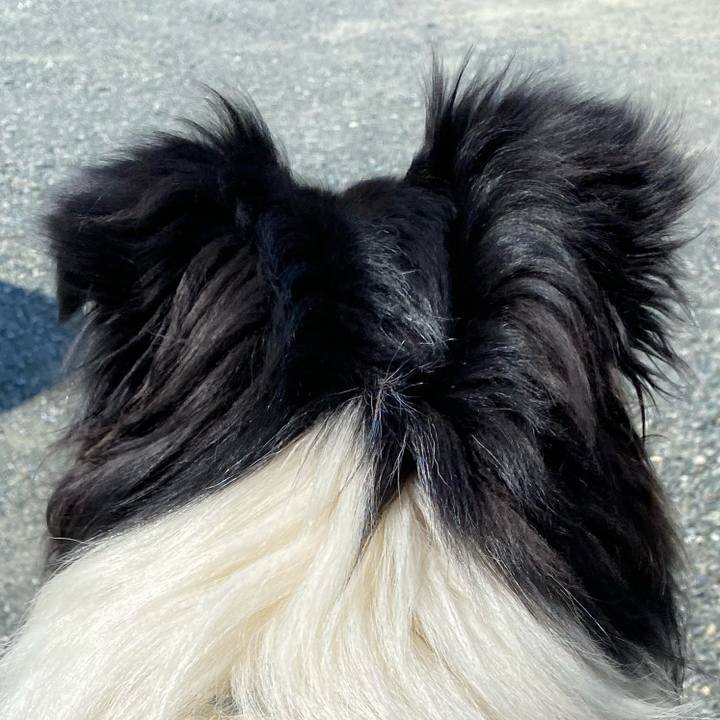 76794e66 10e9 41f9 8cf8 000336e1dfe9 1651452603753