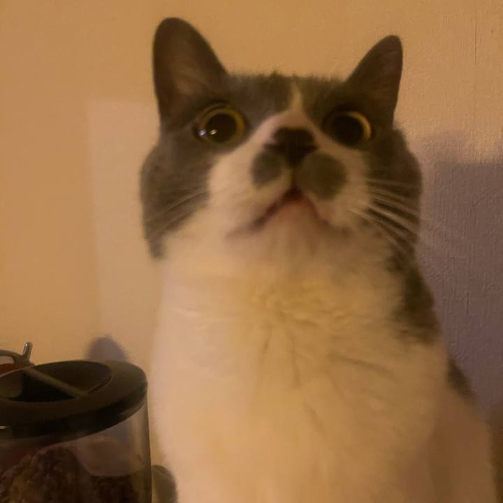 76795512 3613 43bf a9cd fd439d6b8292 1738598183288