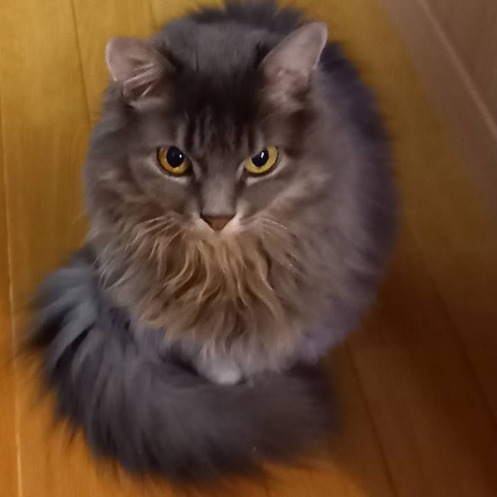 767970d9 8526 4bbf 9f83 daa52f9d7c18 1605356440144