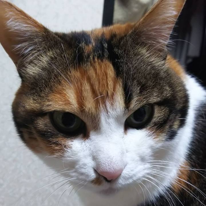 76797787 ca0a 4360 b4b3 068b89a9521e 1582753336377