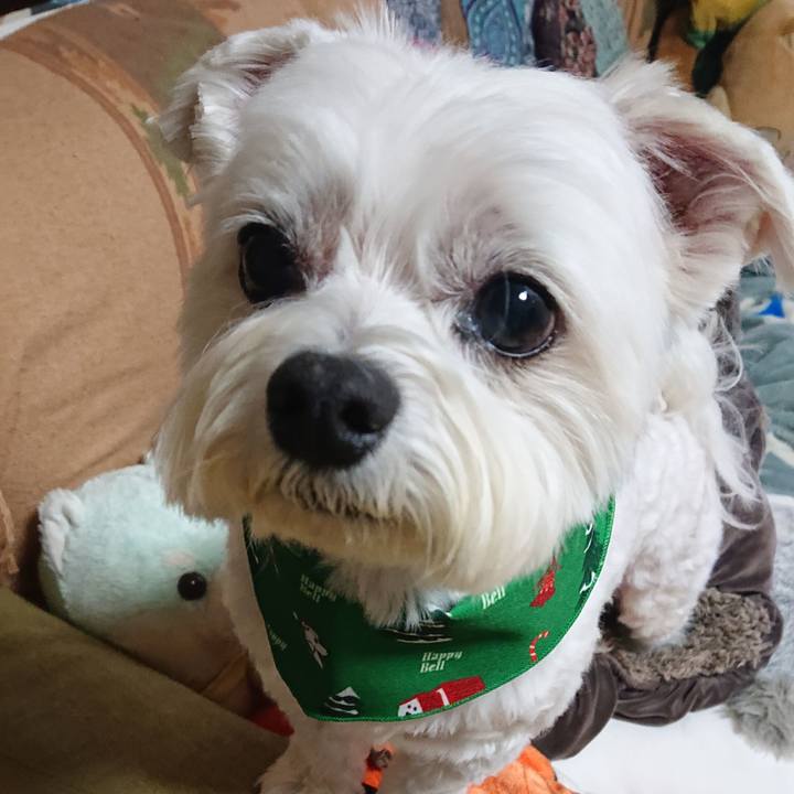 7679924e 25fc 4546 96e5 1d0b6fd4e5c5 1607594439107