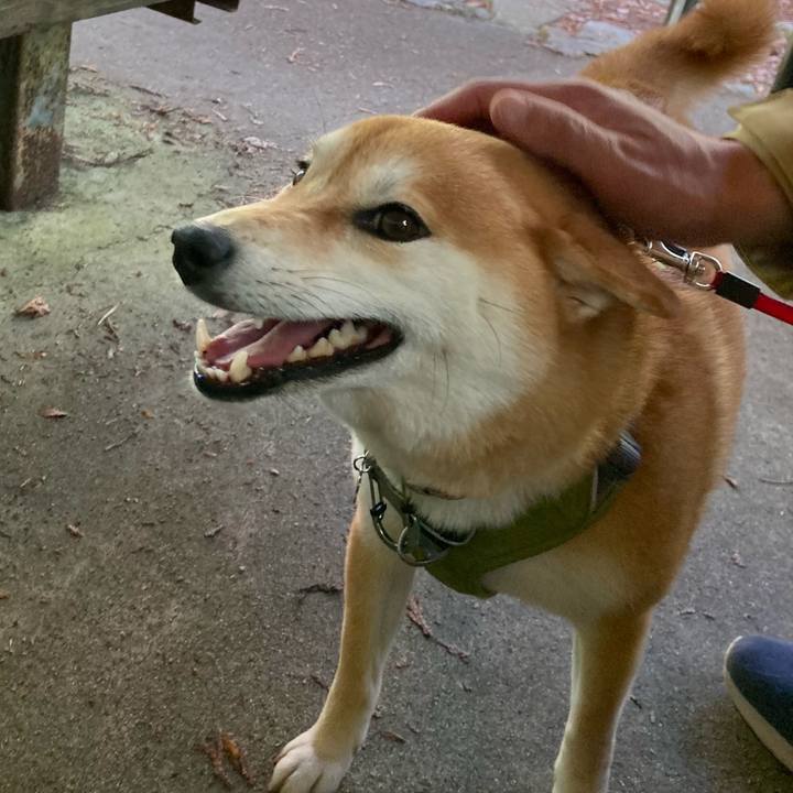 76799f02 2fc7 4657 bc74 08beb6508188 1683000992890