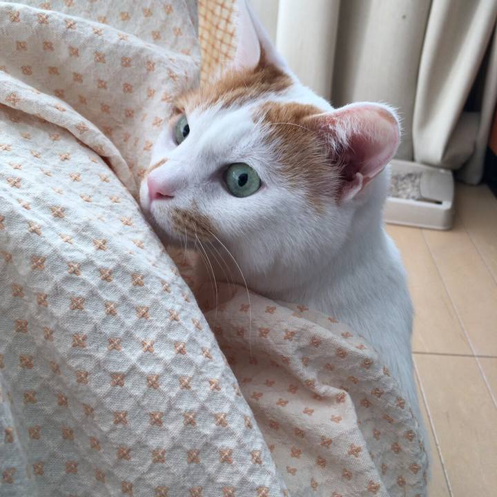 7679b4ae 29b2 4c8d a895 22c8e456d7ad 1512998206686