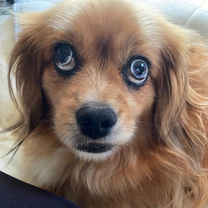 7679e6ec 1257 490d b833 cc4861e10ebf 1626125853662