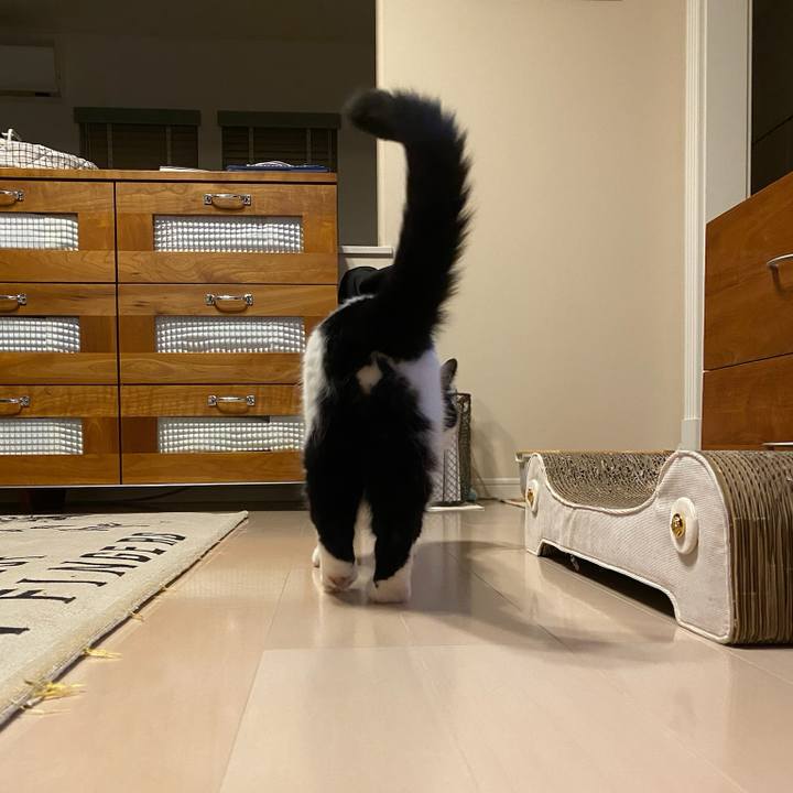 767a0dce 2949 4ff6 adf2 74474cd11be9 1759879288986