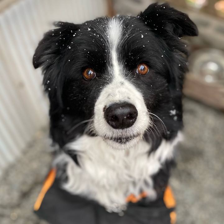 767a1b58 b9d7 4e7f 9b22 cca96a858136 1613518971592