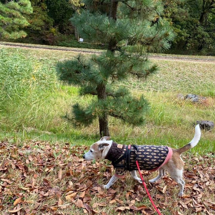 767a6154 4abe 4817 ad9e 6cd6b2f09432 1606097890279