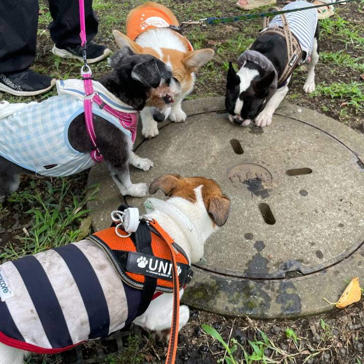 767ab01b 28fb 43df 9994 0b9e816cb1cb 1692241097000