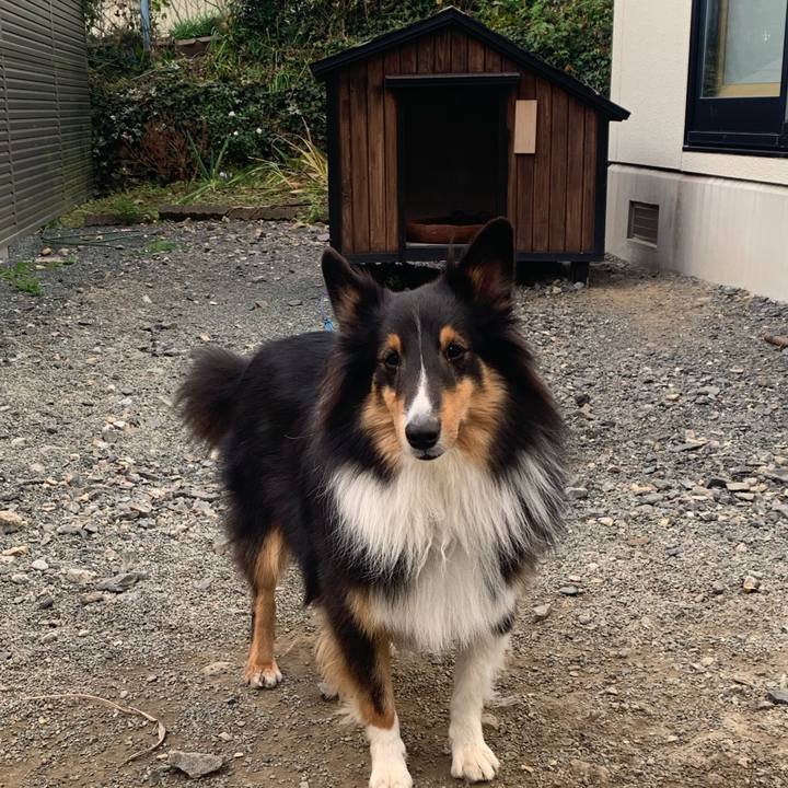 767af547 3c8f 48ae 8ba3 8f85e36c34e7 1573165253221