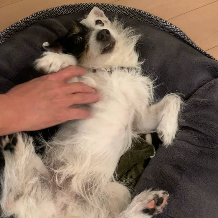 767b1d80 46ea 4b8f b3bf 2ae585a6f2b0 1647182295937