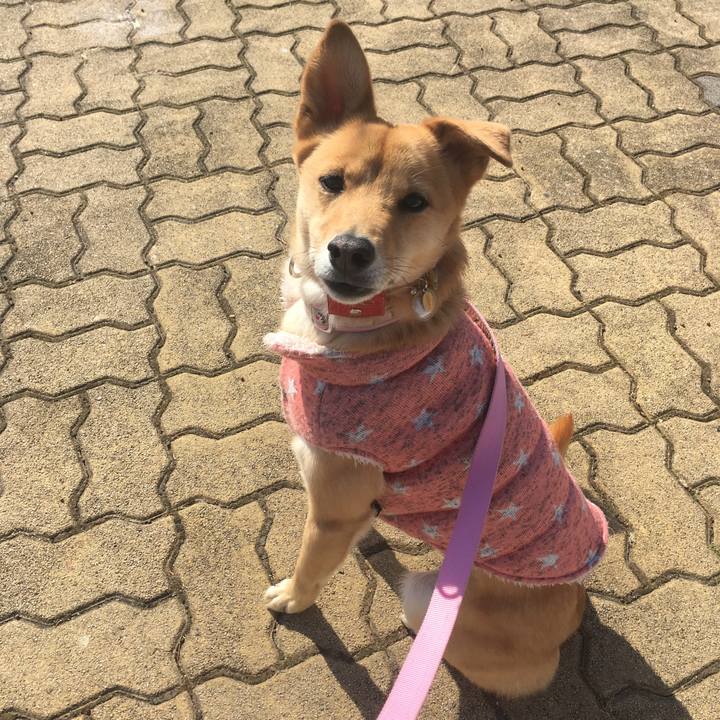 767b1fd8 1e65 4f81 9ca1 9dccbdf30f4a 1517367926559