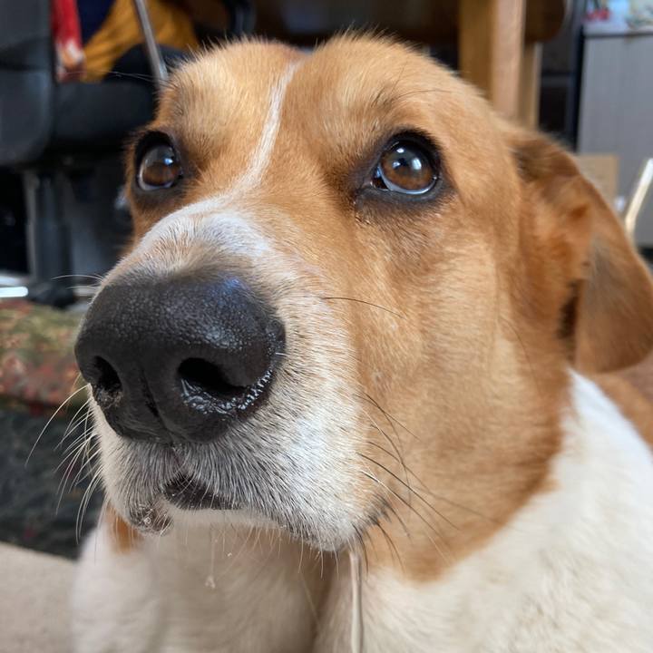 767b2cb3 a544 484c b6a7 3d453a7159ff 1735351794718