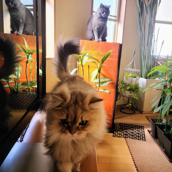 767b50b5 7602 4bc4 8345 41758fc4c0d4 1646613473338