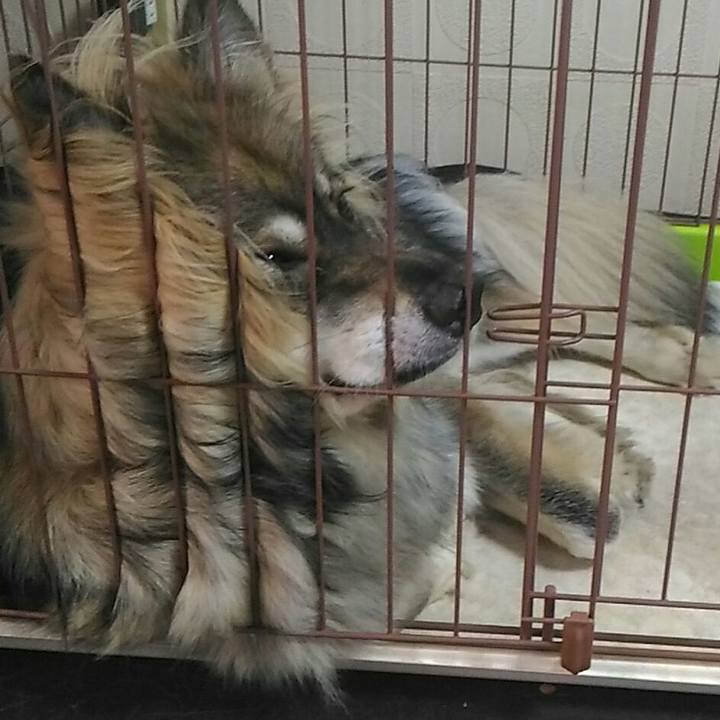 767b58bd 9999 49ad 8ea6 667711293f31 1511232627130