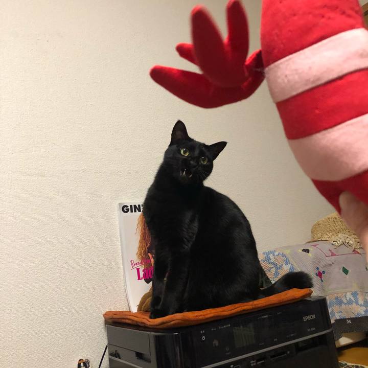 767b7635 5a0e 4f6c 90e1 8686c5517c2a 1554638702191